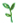 grass-k.jpg