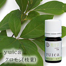 yuica　ゆいか　エッセンシャルオイル　クロモジ（枝葉）