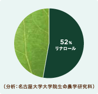 クロモジ 成分表