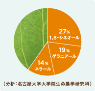 ニオイコブシ 成分