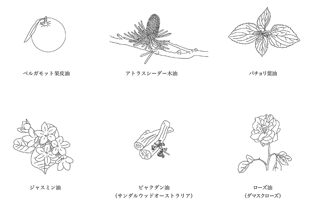 THE SUNSCREEN［Think Nature］ SPF30 PA+++（UV・日焼け止め）
