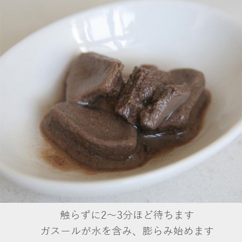 ナイアード ガスール固形 2〜3分待つ