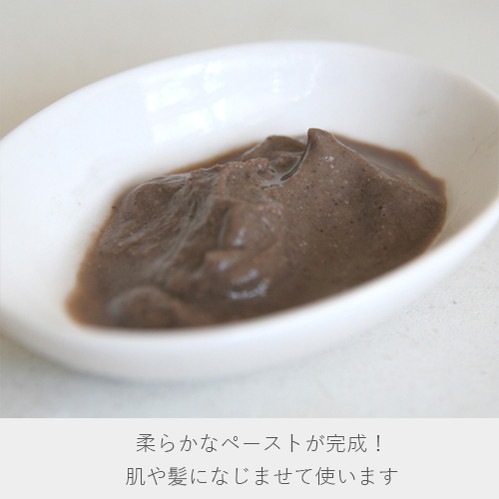 ナイアード ガスール固形 ペースト完成
