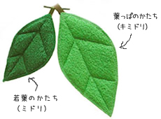 oyako170.jpg