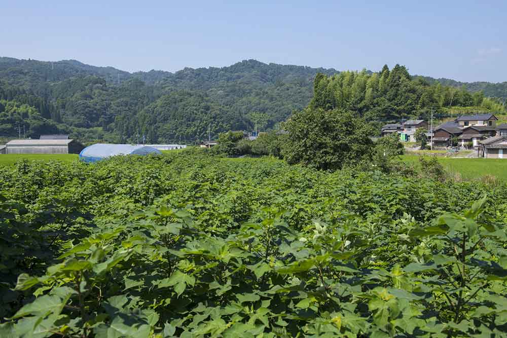名尾手すき和紙 風景